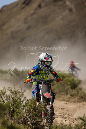 IMG_8120-313y