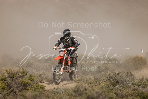 IMG_0073-311p
