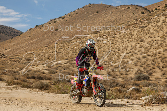 IMG_7443-615p