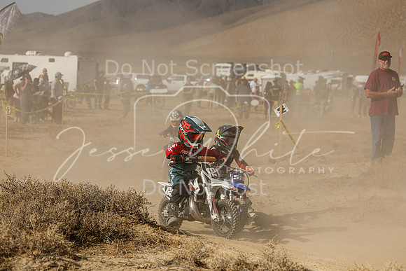IMG_7597-121z-511z