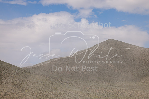 IMG_9829-