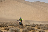 IMG_8339-350v