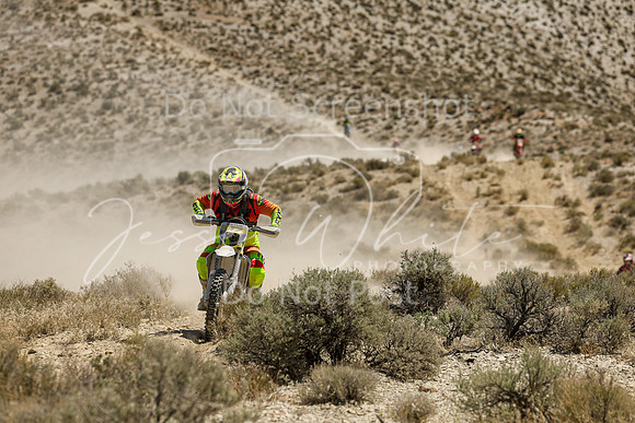 IMG_3543-n17