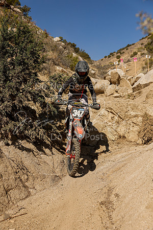IMG_6438-347x