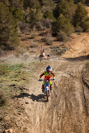 IMG_2353-53