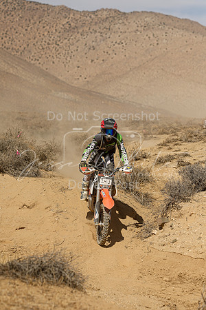 IMG_8825-24j