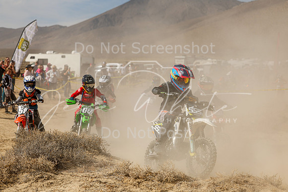IMG_7944-555y