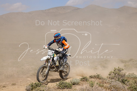 IMG_0010-288x