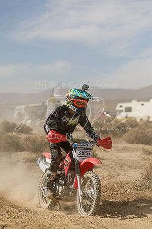 IMG_8017-385y