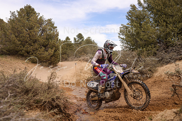 IMG_6162-336