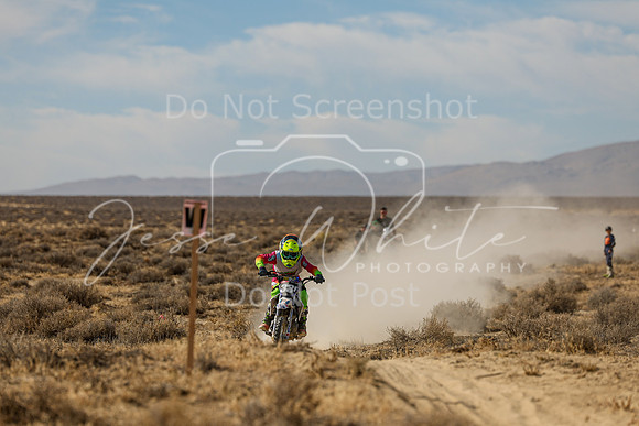IMG_7665-33f