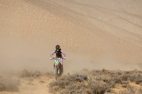 IMG_8355-77v