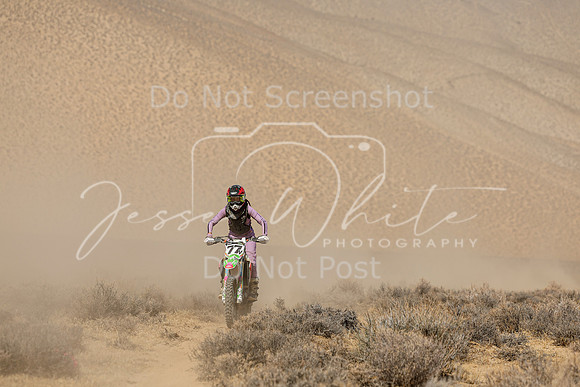 IMG_8355-77v