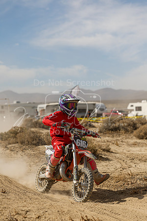 IMG_8010-616y