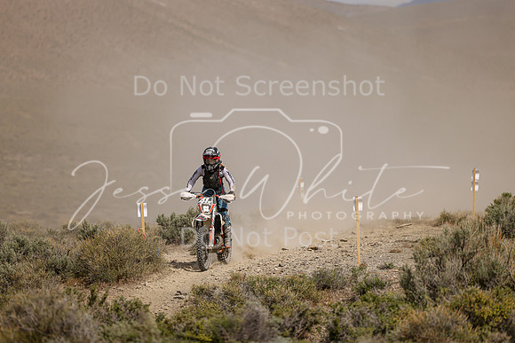 IMG_0032-41w