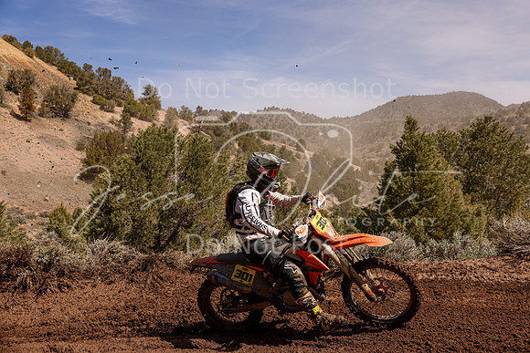 IMG_9295-301