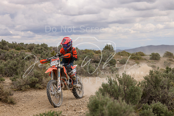 IMG_0546-812a