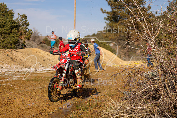 IMG_2691-6