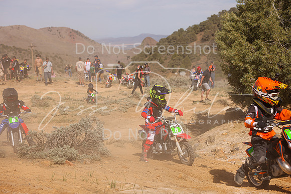 IMG_2133-6