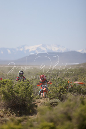 IMG_8353-40z
