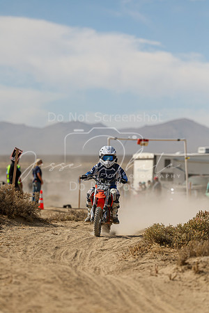 IMG_7972-717e