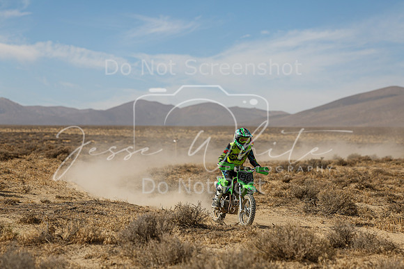 IMG_7718-90f