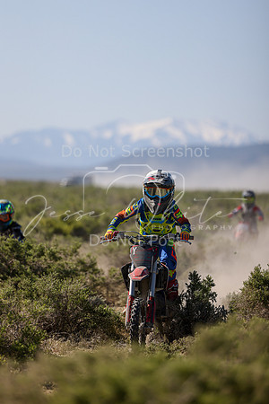 IMG_8199-313y