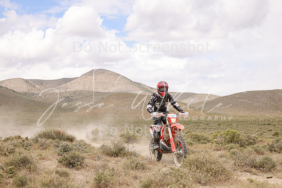 IMG_0995-405p