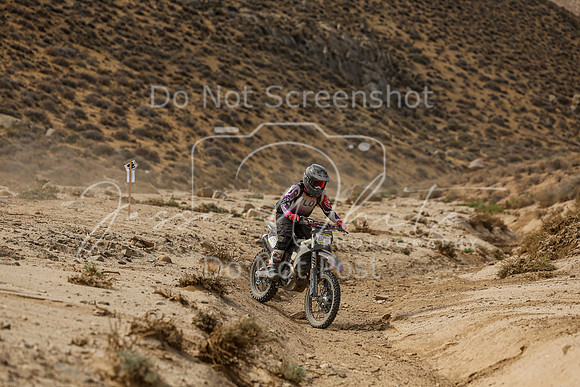 IMG_7409-209t