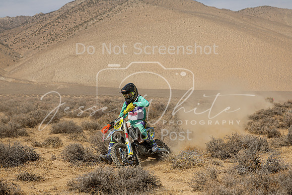 IMG_8410-375j