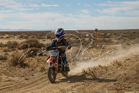 IMG_7690-77z