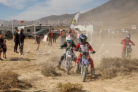 IMG_7953-121y
