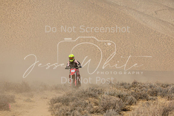 IMG_8383-474v