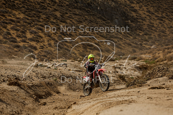 IMG_7325-474w