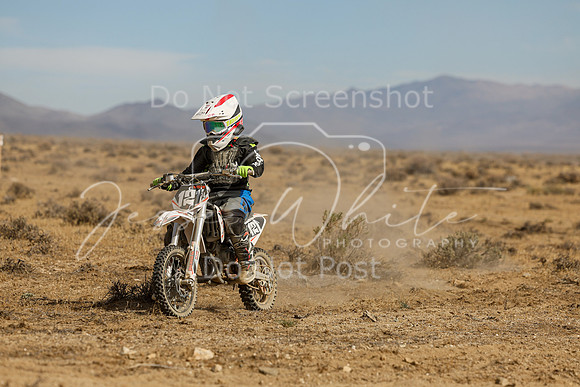 IMG_8182-121y