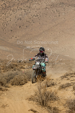 IMG_8870-74v