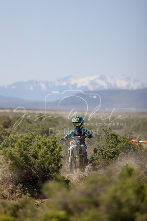 IMG_8291-199z