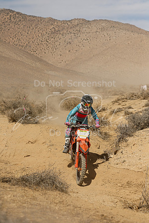 IMG_8811-227v