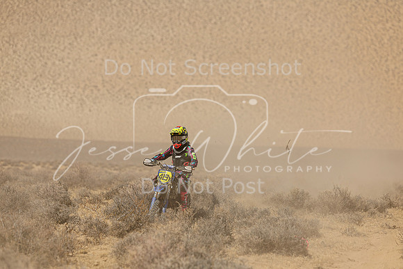 IMG_8548-419y