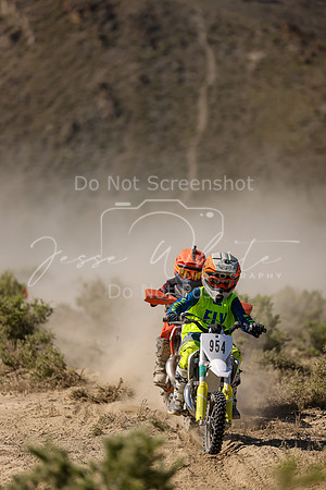IMG_8119-954