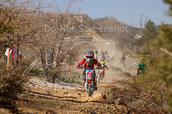 IMG_2554-7