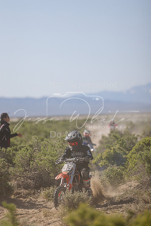 IMG_8318-33