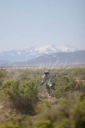 IMG_8330-16y