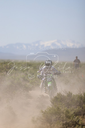 IMG_8225-16y