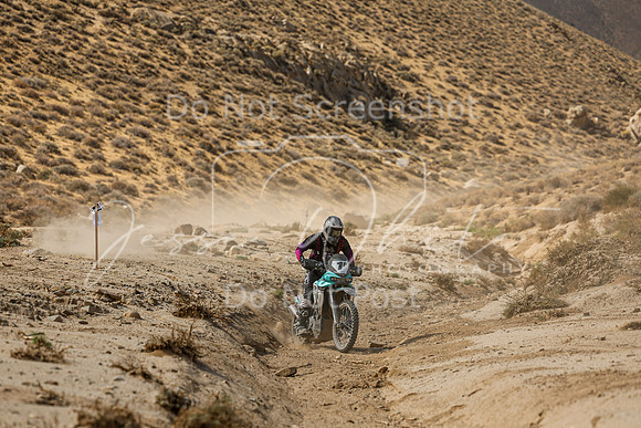 IMG_7185-1p