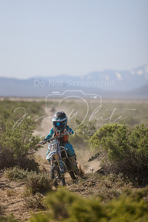 IMG_8357-210z