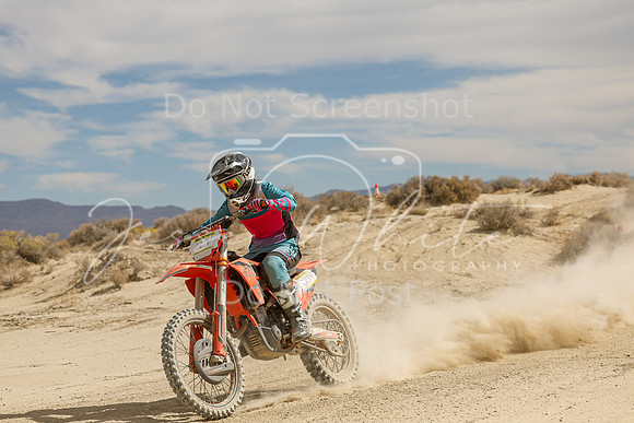 IMG_9065-227v