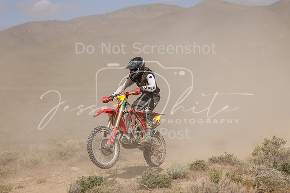 IMG_9949-80t