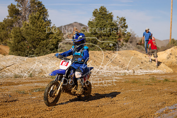 IMG_2667-16