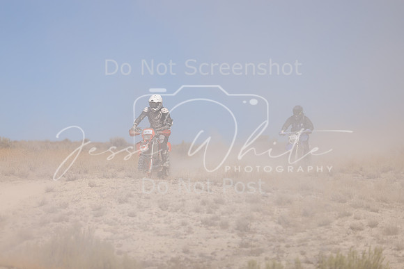 IMG_3892-811n